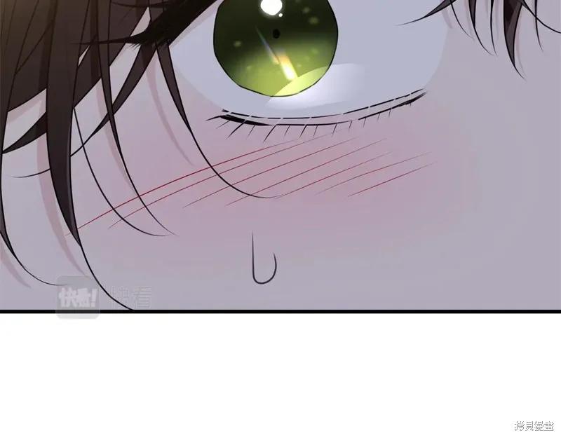《明明是冷美人小姐却变成了忠犬大少爷》第72话 第138页