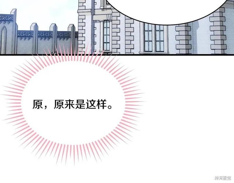 《明明是冷美人小姐却变成了忠犬大少爷》第76话 第195页
