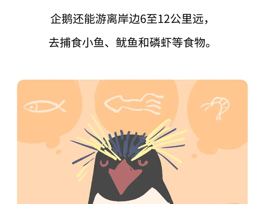 《胖达x胖达》第272话 第30页
