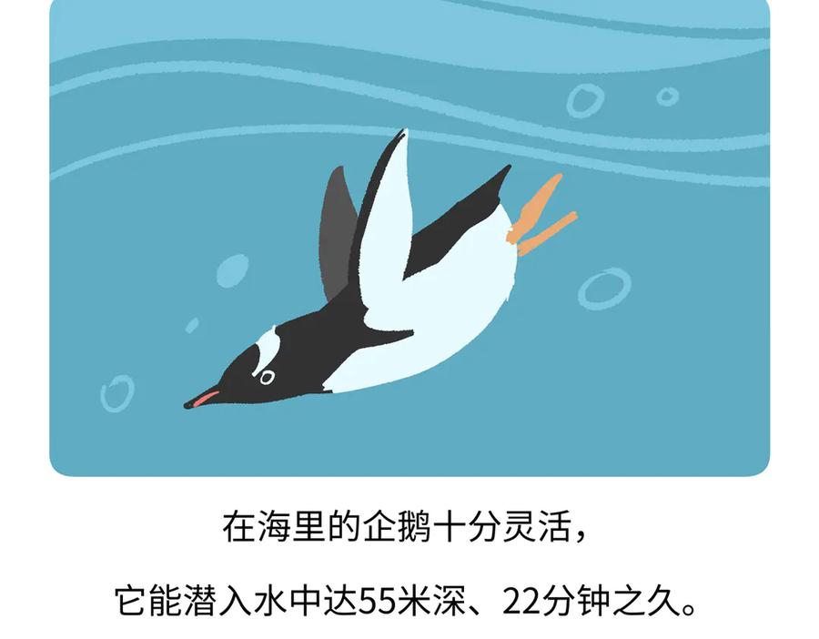 《胖达x胖达》第272话 第28页