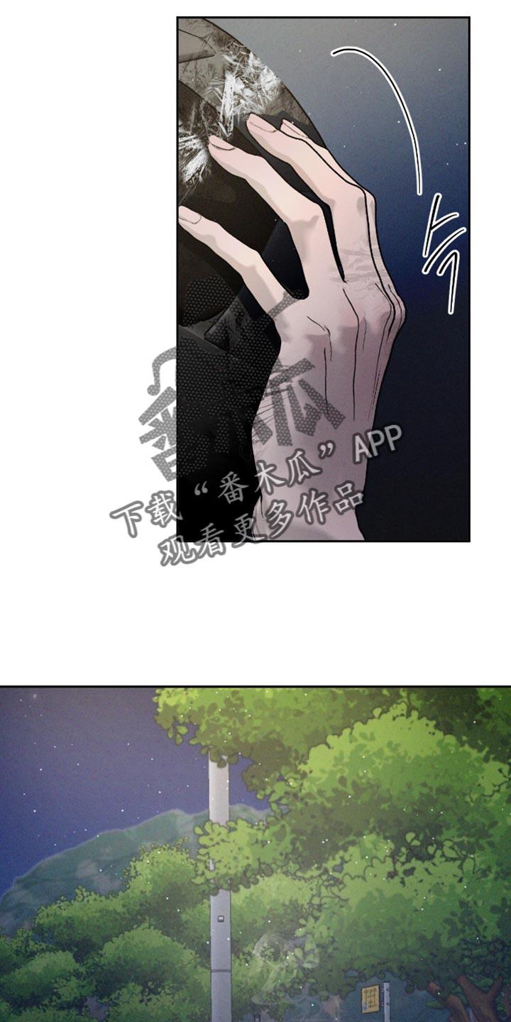 《危险建议》第168章：【番外】珍贵的回忆 第2页