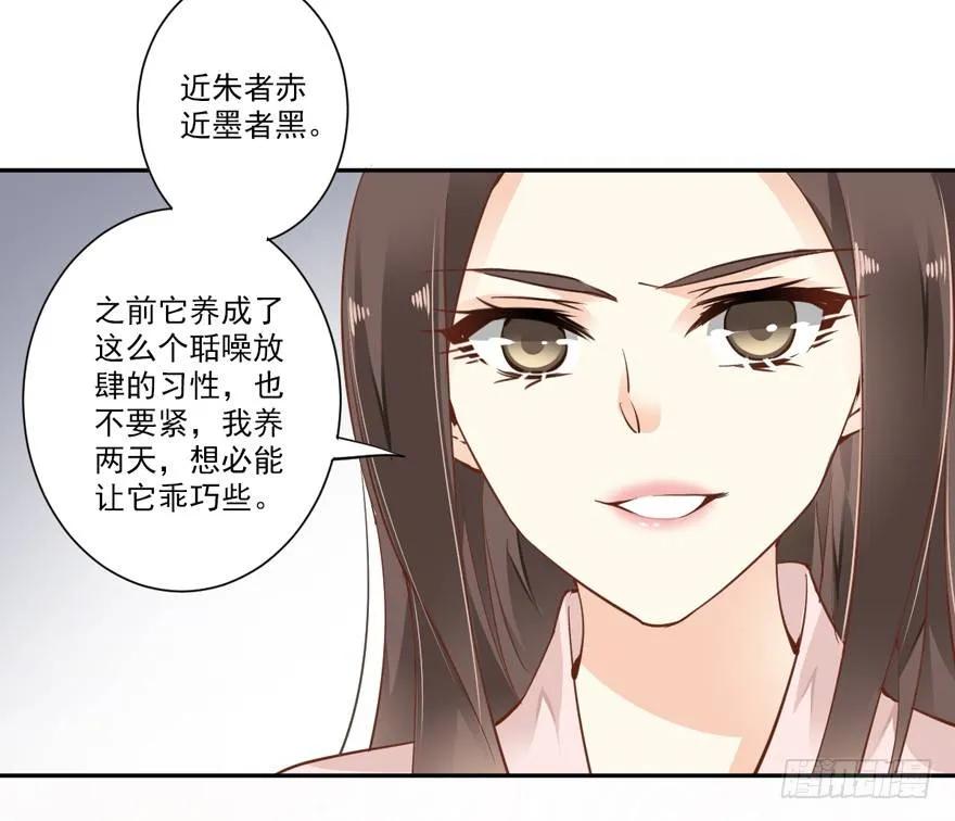《鸡汤皇后》卫皇后的遗书 第35页