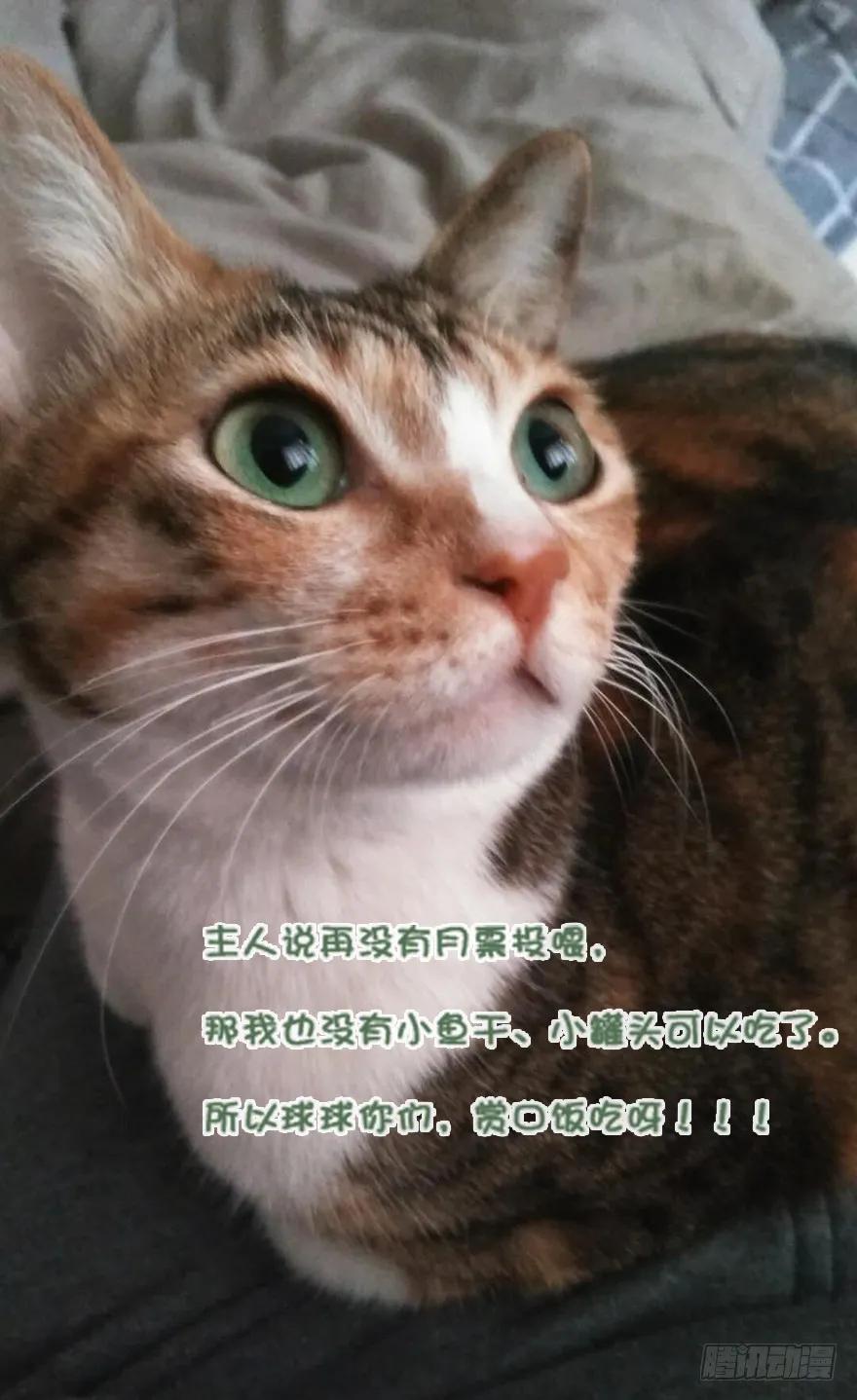 《鸡汤皇后》第四十话（上） 第35页