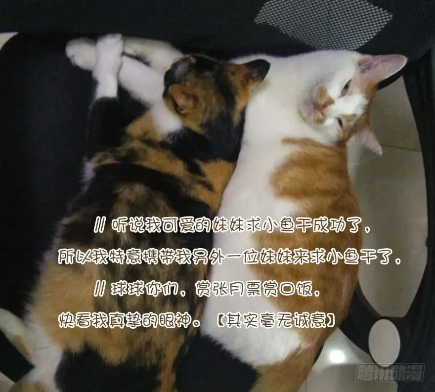 《鸡汤皇后》第四十话（下） 第33页