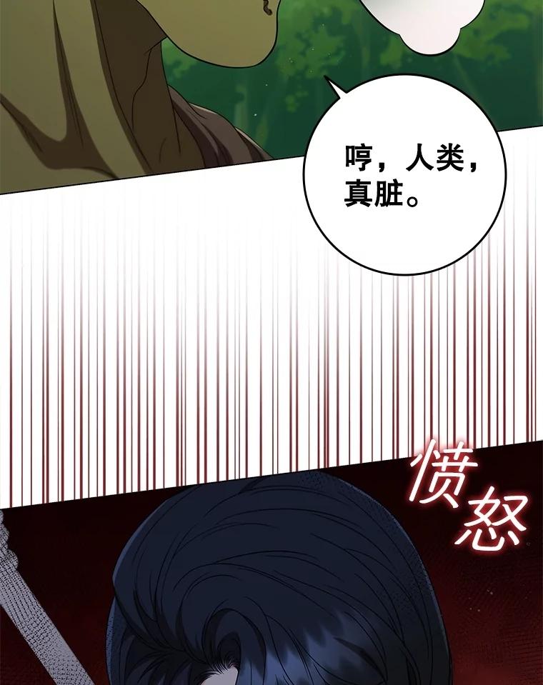《DragonLady龙女》21.阿玛莉莉丝 第12页
