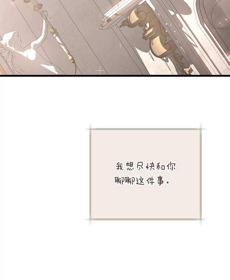 《从今天起，公爵府由我接管》43.重要提示 第114页