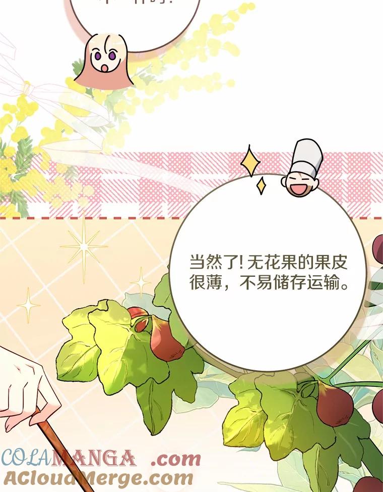 《从今天起，公爵府由我接管》48.无花果酱 第13页
