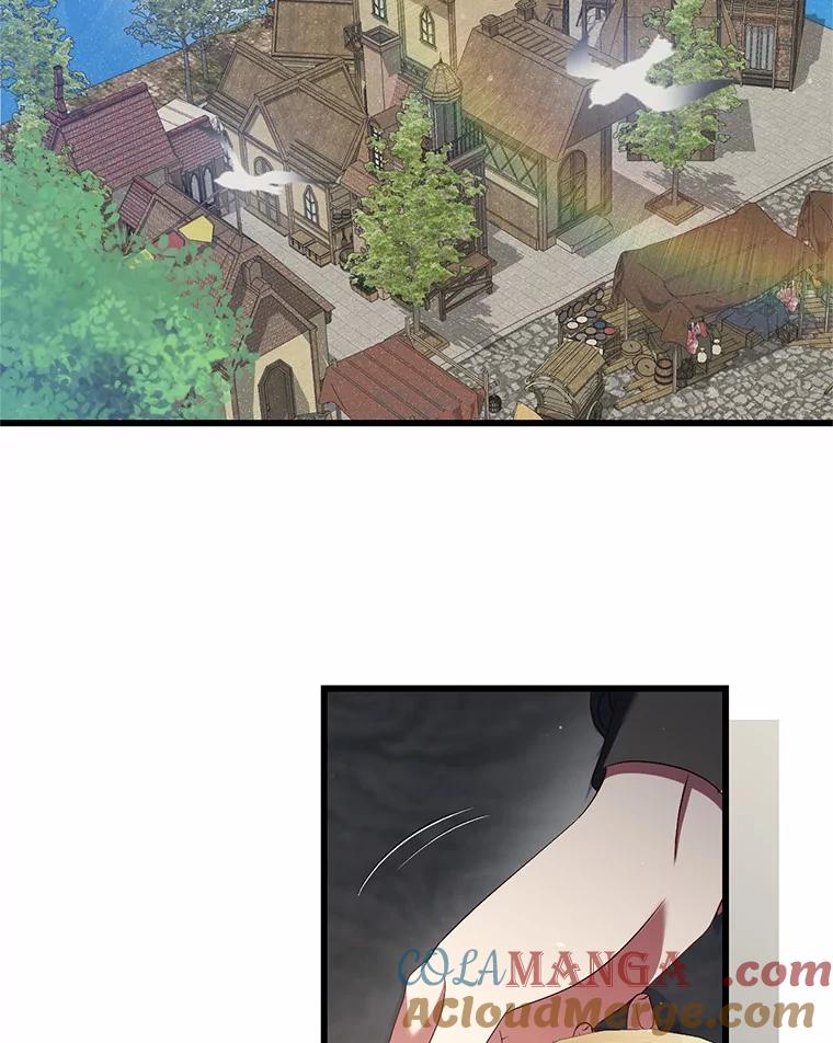 《从今天起，公爵府由我接管》48.无花果酱 第41页