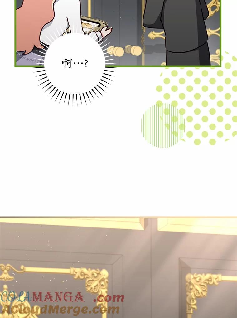 《从今天起，公爵府由我接管》48.无花果酱 第69页