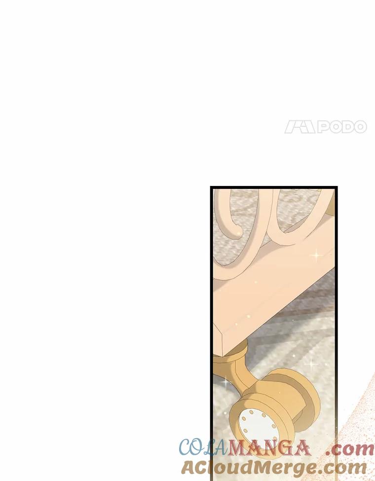 《从今天起，公爵府由我接管》49.礼裙 第37页
