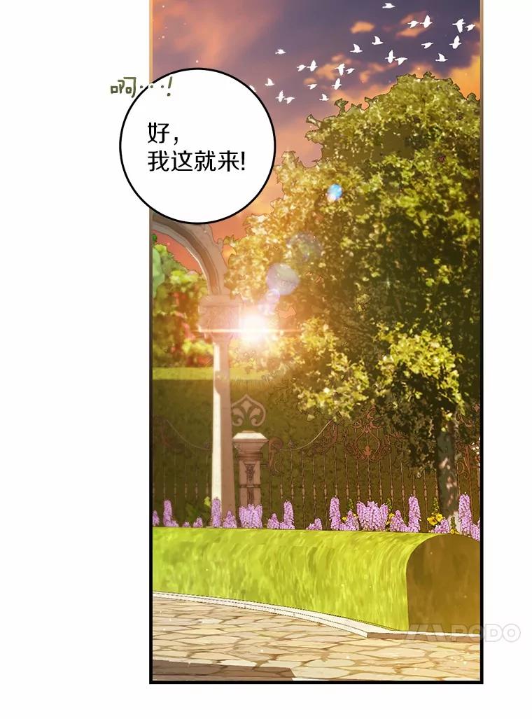 《从今天起，公爵府由我接管》53.社交界首秀 第47页