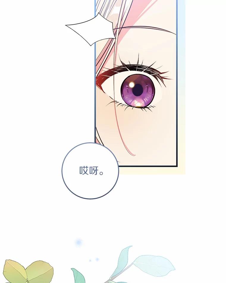 《从今天起，公爵府由我接管》57.白沙城 第12页