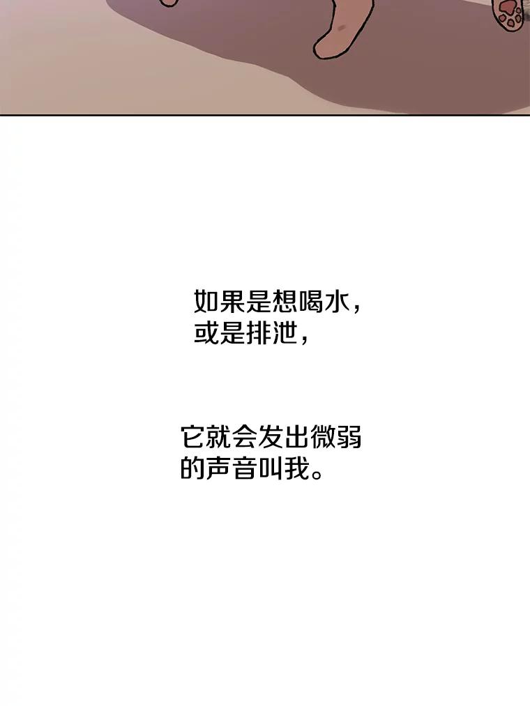 《彩虹桥守望者》75.生命倒计时 第74页