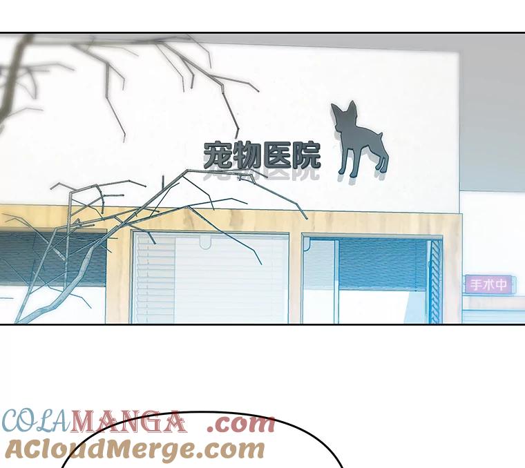 《彩虹桥守望者》75.生命倒计时 第7页