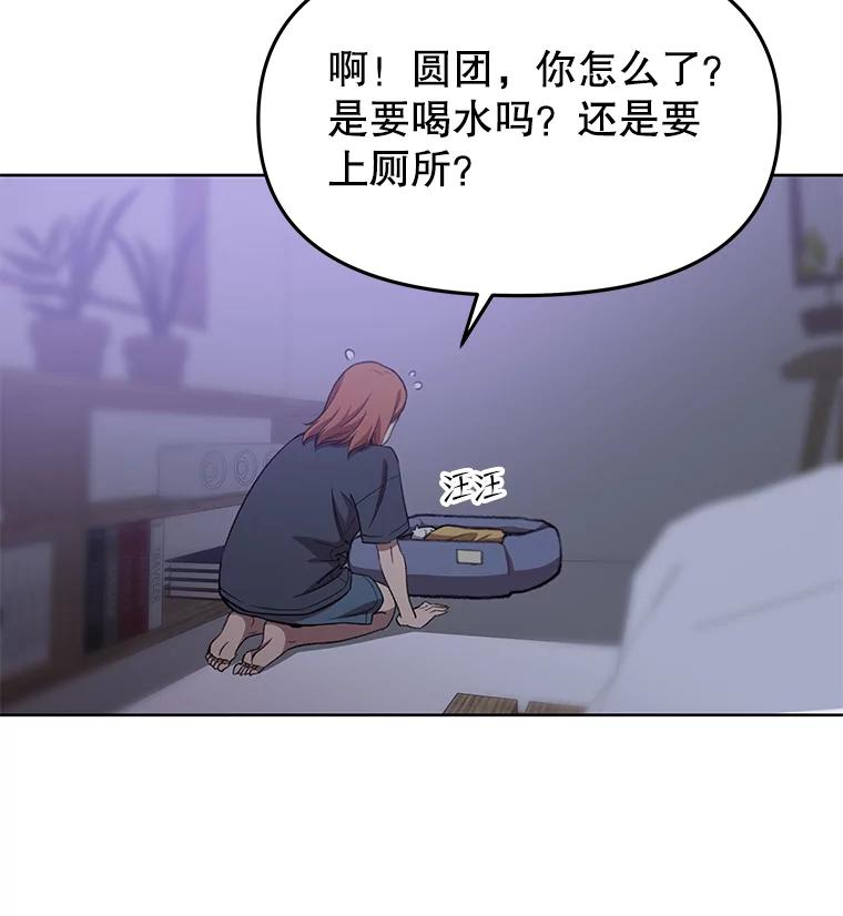 《彩虹桥守望者》76.圆团，再见 第31页
