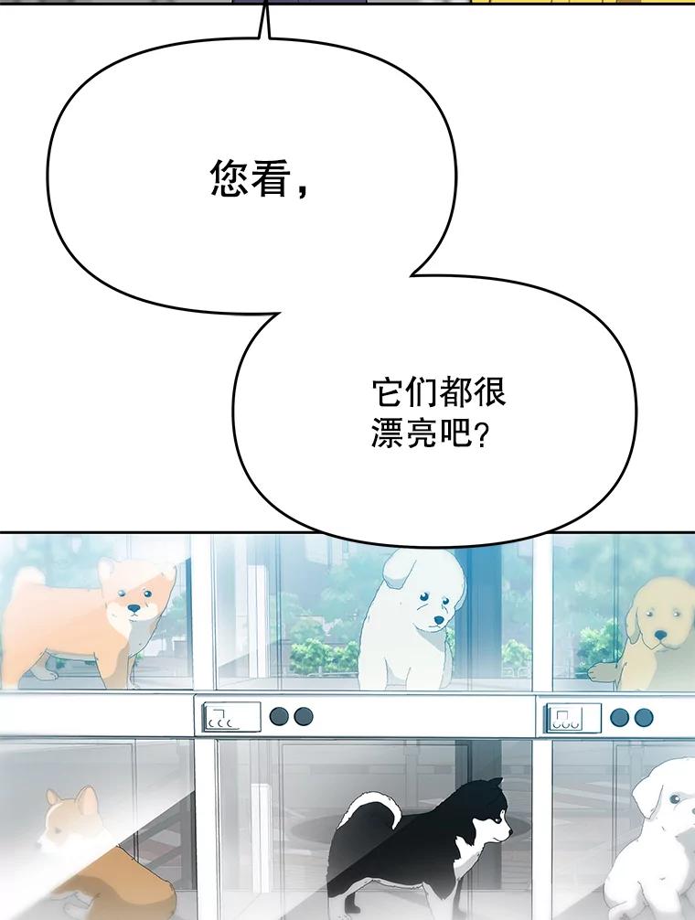 《彩虹桥守望者》77.放松的新家 第27页
