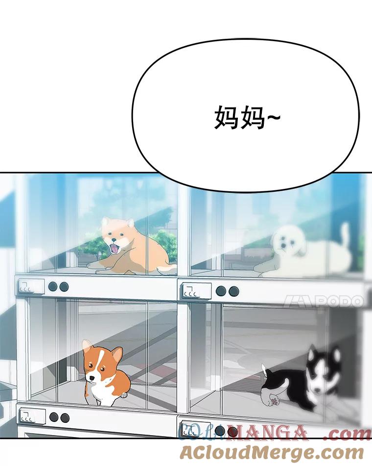 《彩虹桥守望者》77.放松的新家 第43页