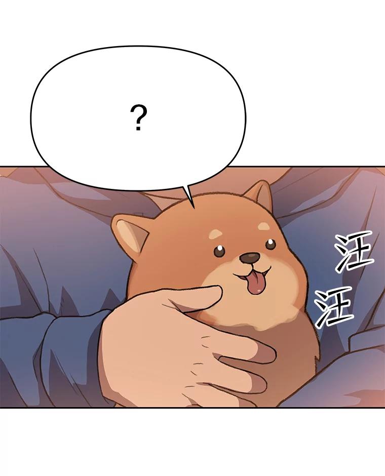 《彩虹桥守望者》78.“汪星人”救助站（1） 第42页