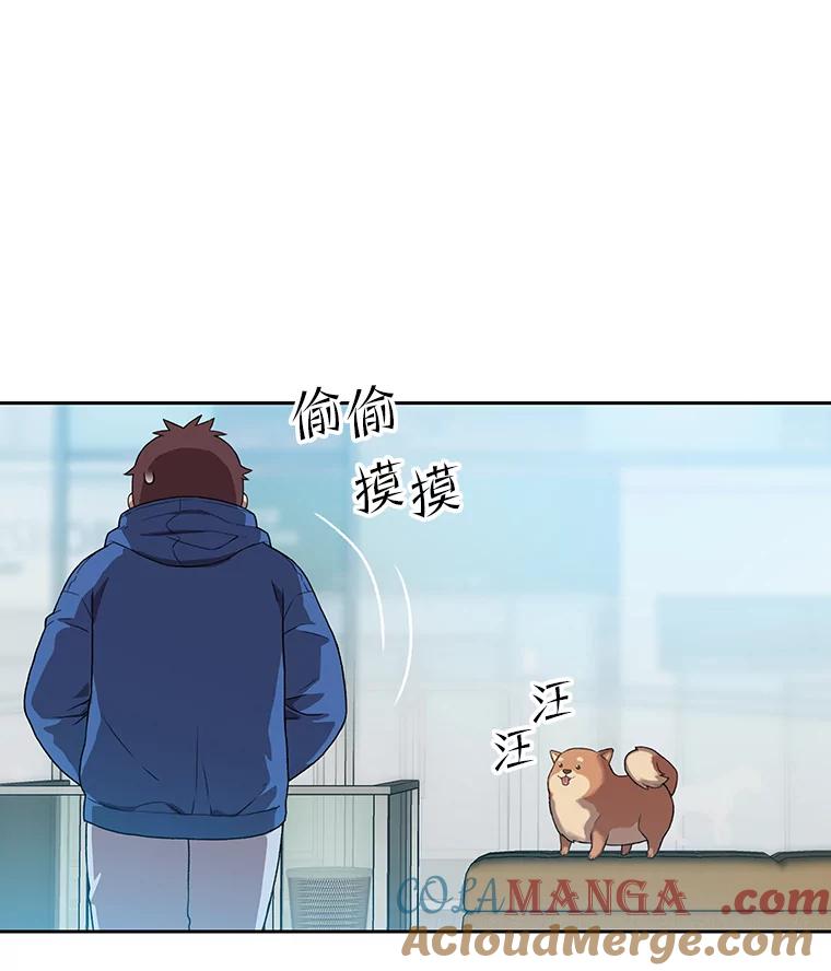 《彩虹桥守望者》78.“汪星人”救助站（1） 第22页