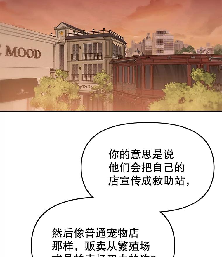 《彩虹桥守望者》78.“汪星人”救助站（1） 第54页