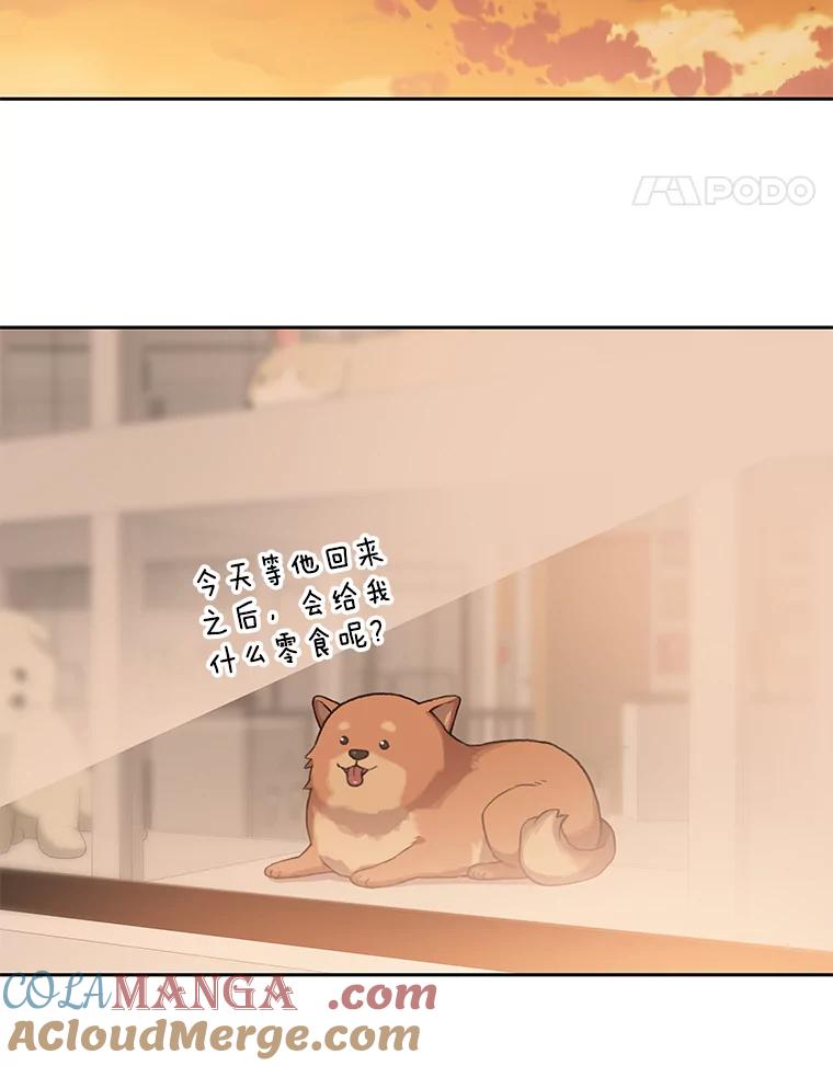 《彩虹桥守望者》78.“汪星人”救助站（1） 第79页