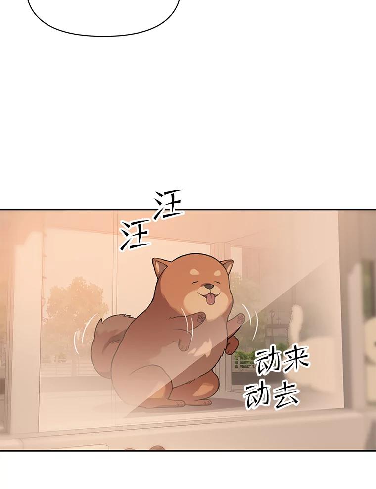 《彩虹桥守望者》78.“汪星人”救助站（1） 第74页