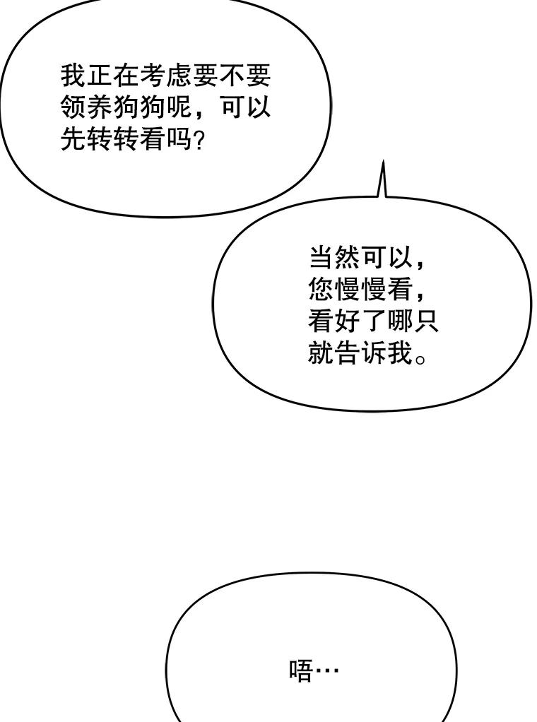 《彩虹桥守望者》79.“汪星人”救助站（2） 第39页
