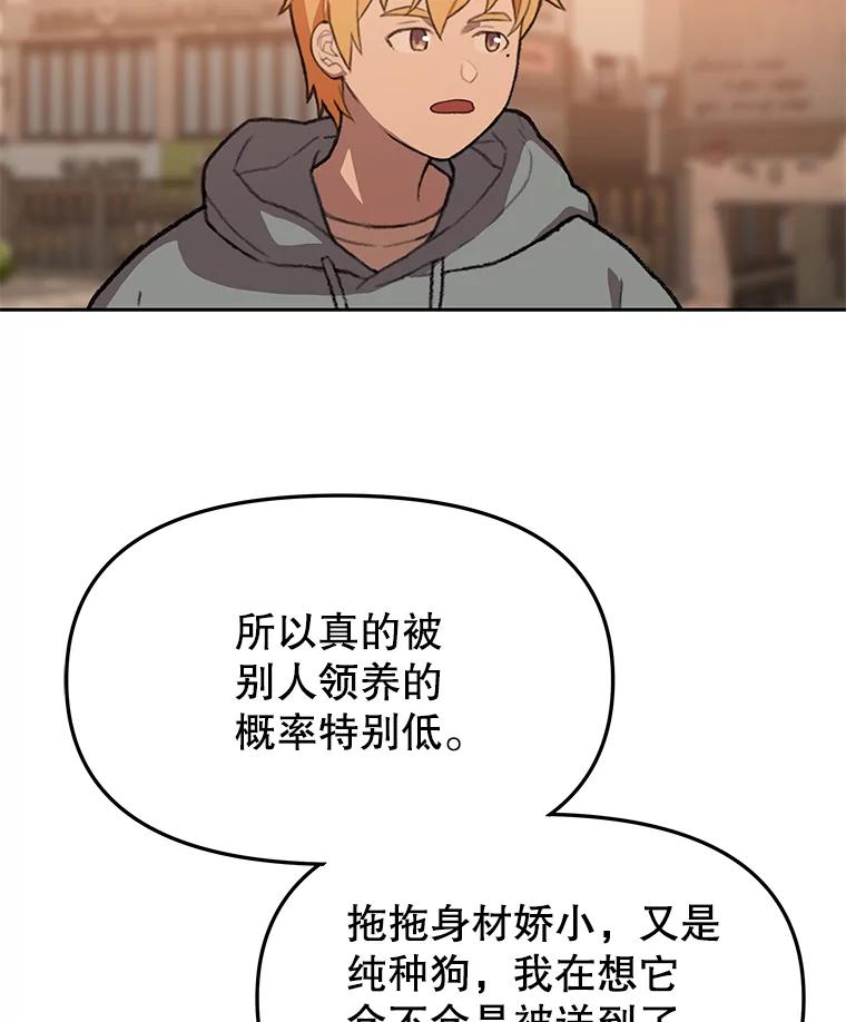 《彩虹桥守望者》79.“汪星人”救助站（2） 第66页