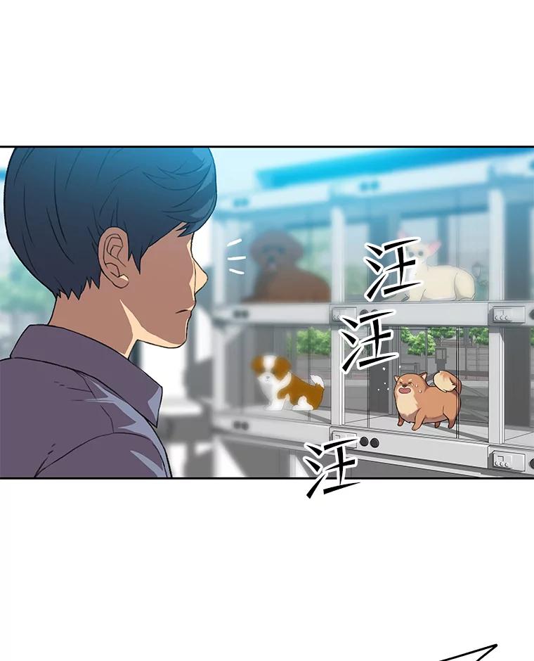 《彩虹桥守望者》79.“汪星人”救助站（2） 第11页