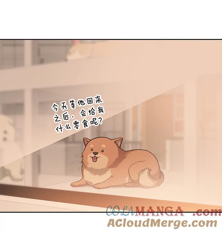 《彩虹桥守望者》79.“汪星人”救助站（2） 第4页