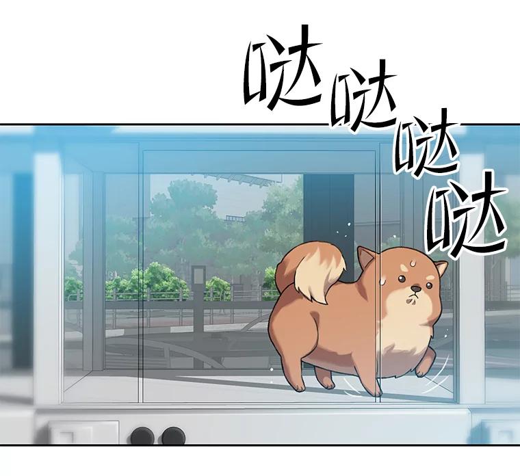 《彩虹桥守望者》79.“汪星人”救助站（2） 第8页