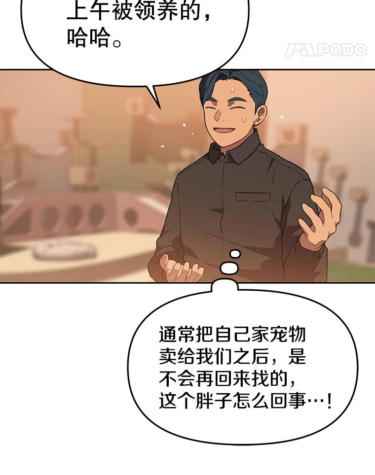 《彩虹桥守望者》79.“汪星人”救助站（2） 第48页