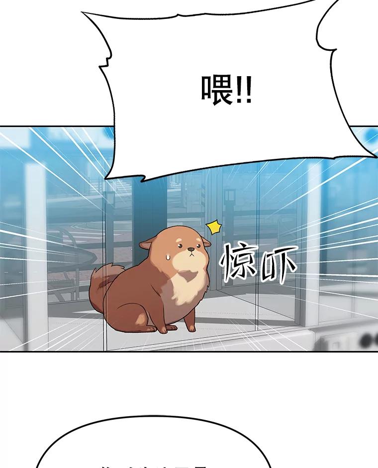 《彩虹桥守望者》79.“汪星人”救助站（2） 第12页