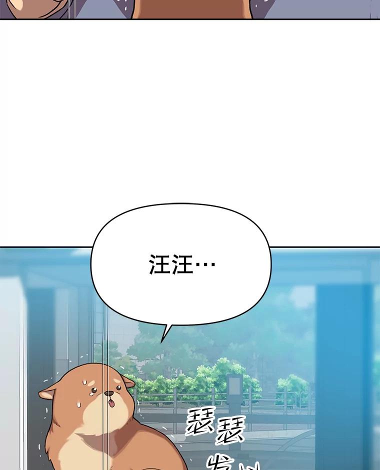 《彩虹桥守望者》79.“汪星人”救助站（2） 第14页