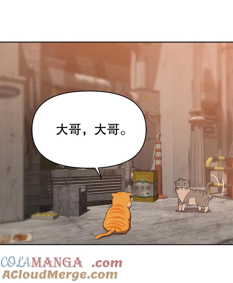 《彩虹桥守望者》82.在雨中等你 第25页