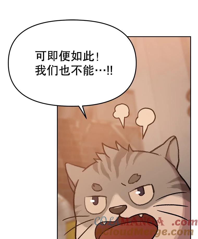 《彩虹桥守望者》82.在雨中等你 第31页