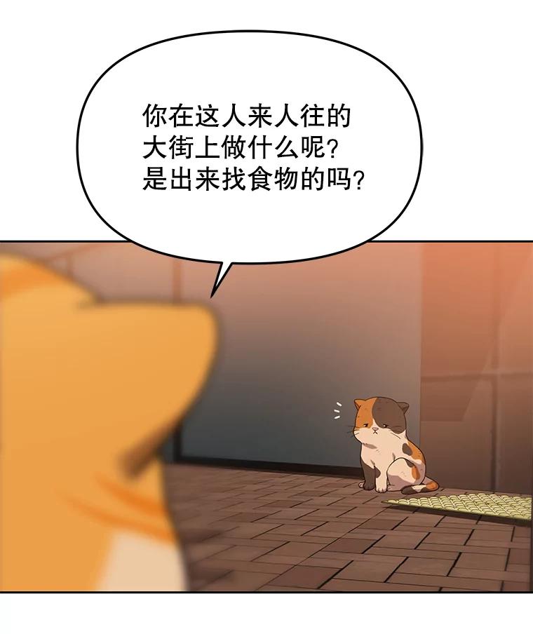 《彩虹桥守望者》82.在雨中等你 第44页