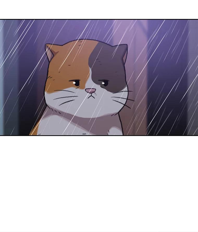 《彩虹桥守望者》82.在雨中等你 第69页