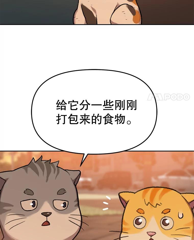 《彩虹桥守望者》82.在雨中等你 第47页