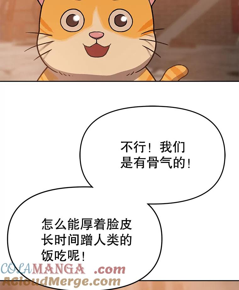 《彩虹桥守望者》82.在雨中等你 第28页