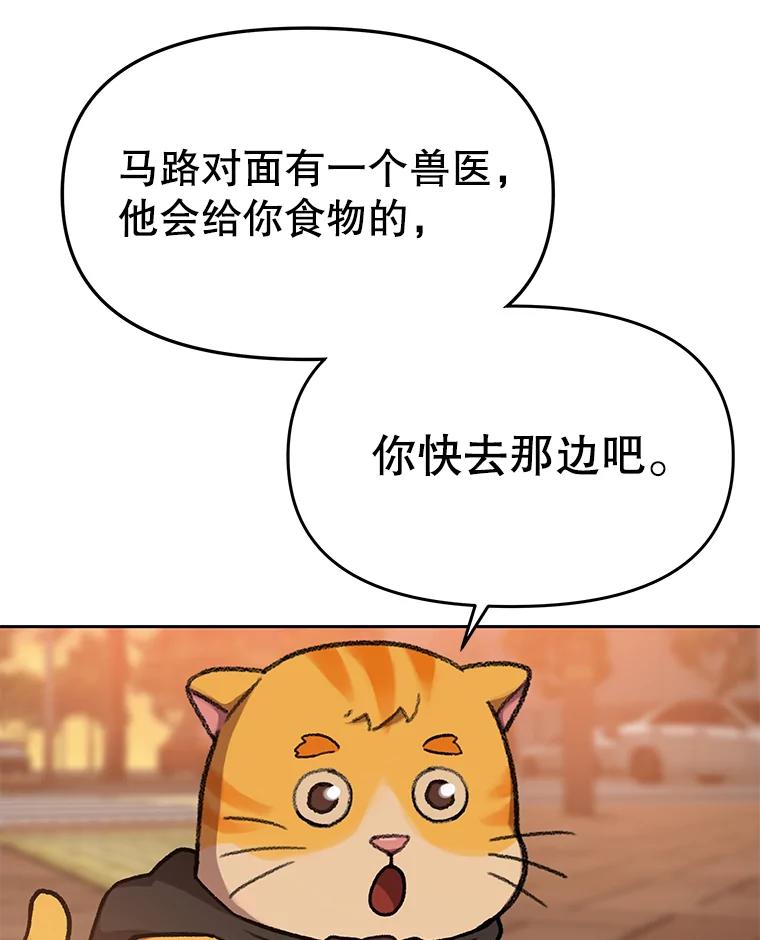 《彩虹桥守望者》82.在雨中等你 第45页