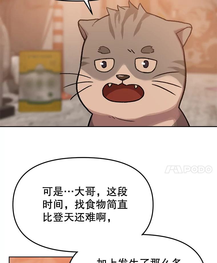 《彩虹桥守望者》82.在雨中等你 第29页