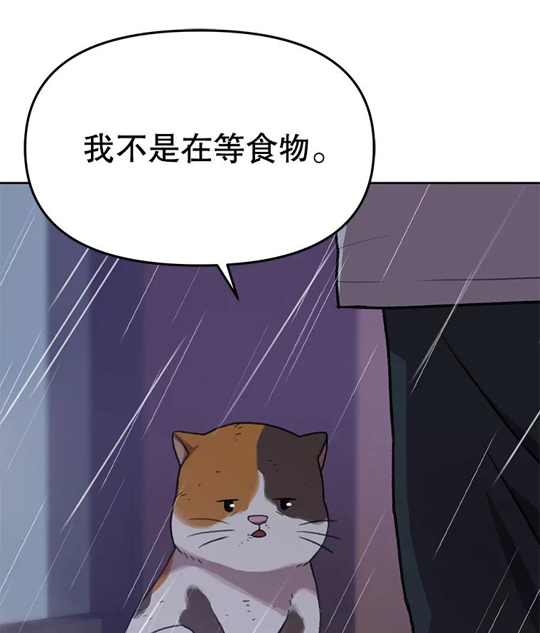 《彩虹桥守望者》82.在雨中等你 第66页