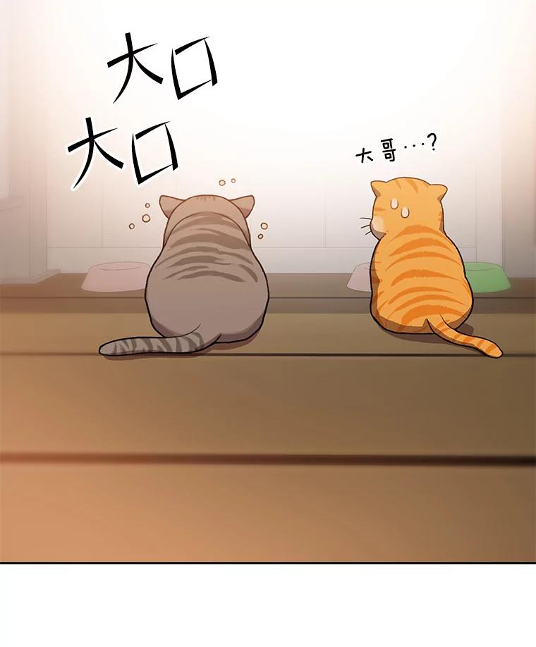 《彩虹桥守望者》82.在雨中等你 第35页