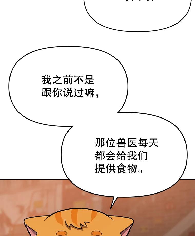 《彩虹桥守望者》82.在雨中等你 第27页