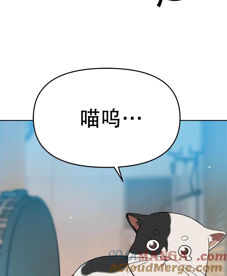 《彩虹桥守望者》83.感谢我的能力 第37页