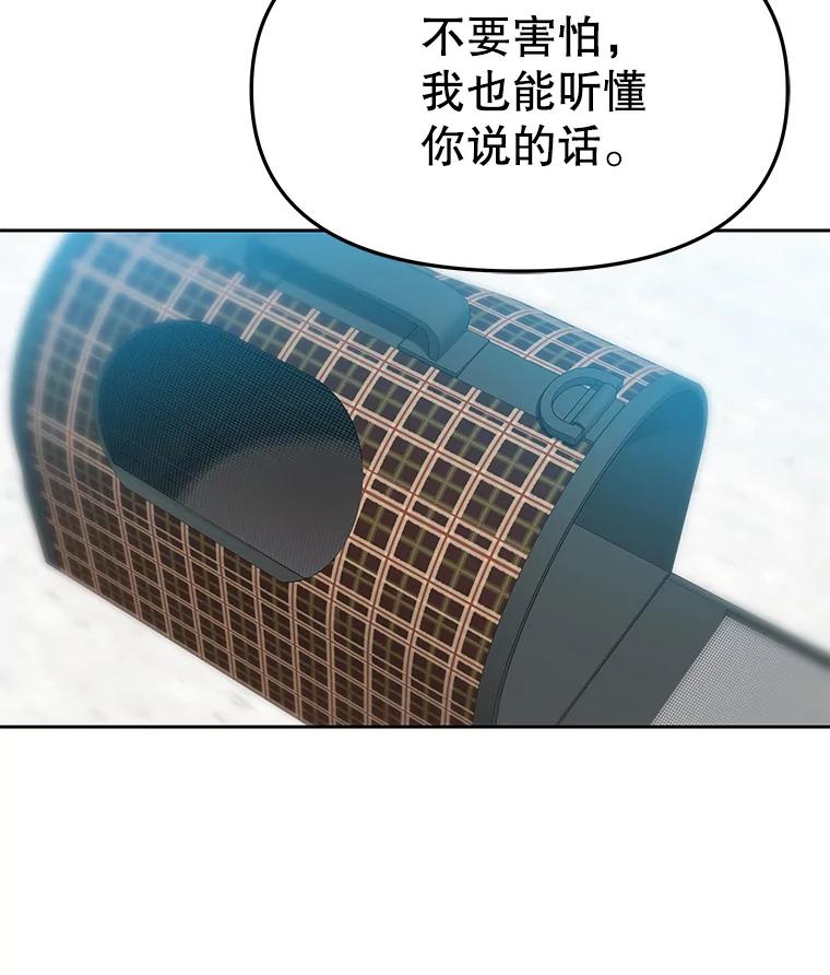 《彩虹桥守望者》83.感谢我的能力 第33页