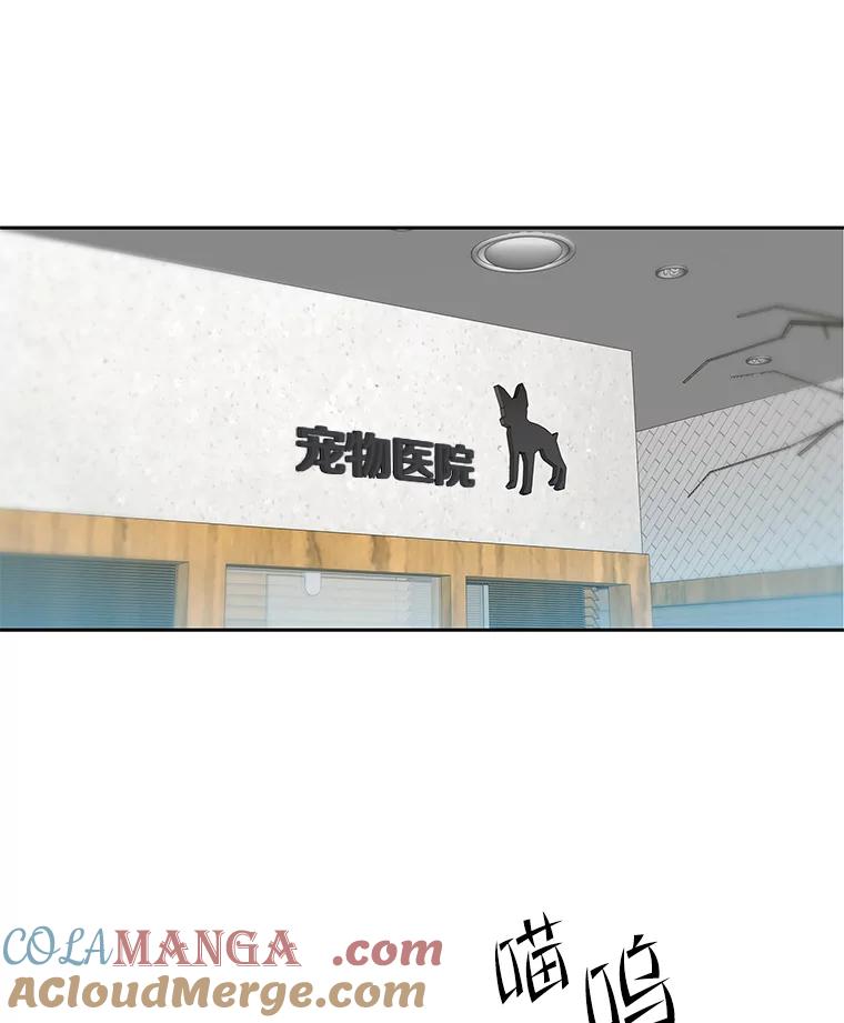《彩虹桥守望者》83.感谢我的能力 第19页