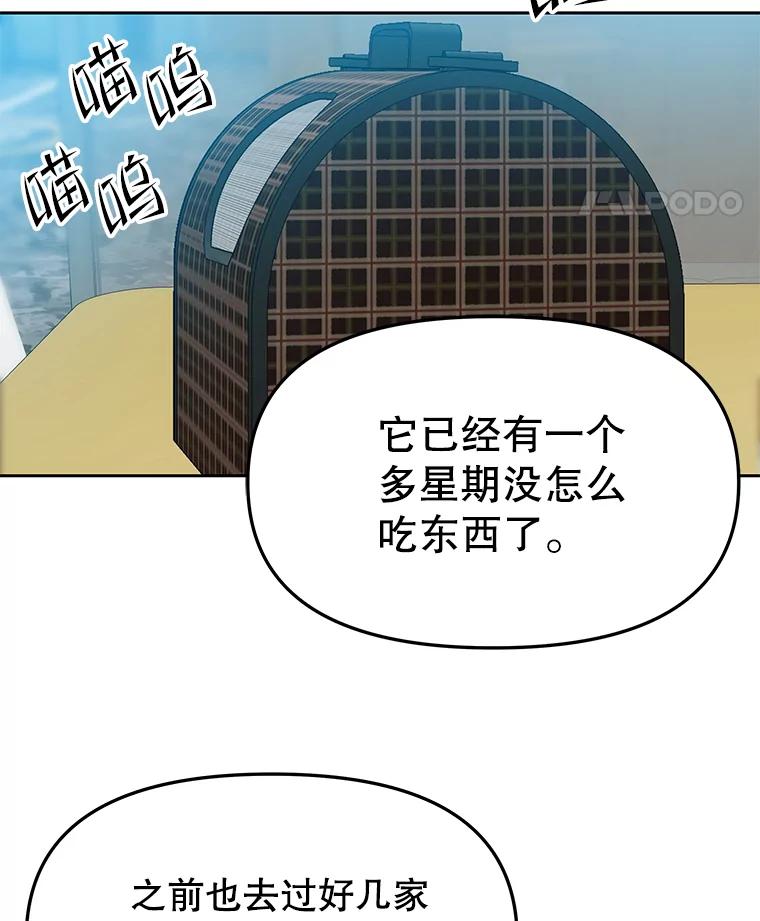 《彩虹桥守望者》83.感谢我的能力 第20页