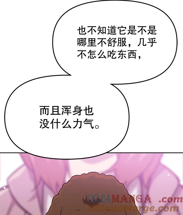 《彩虹桥守望者》84.责任感 第28页